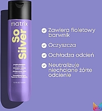 Anti-Dullness Shampoo for Blonde Hair - Matrix Total Results Color Obsessed So Silver Shampoo — photo N6
