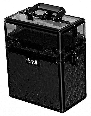 Tool Case, #10 - Kodi Professional — photo N1