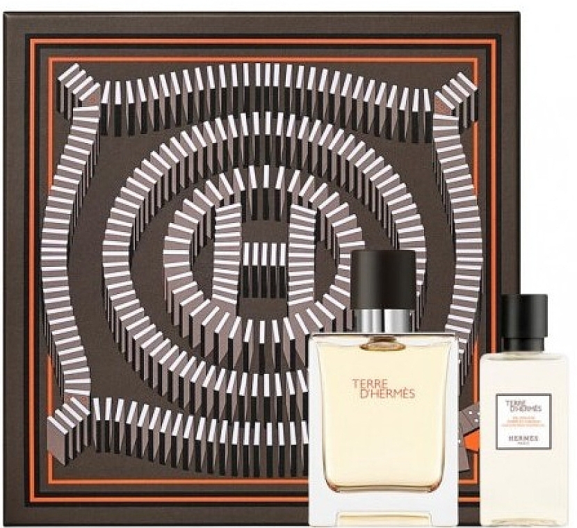 Hermes Terre dHermes - Set (edt/50ml + sh/gel/40ml) — photo N1