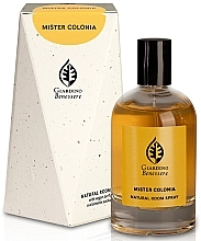 Giardino Benessere Mister Colonia - Home Aroma Spray — photo N2