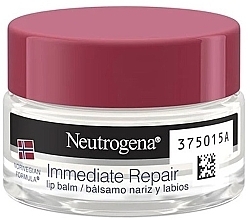 Nose & Lip Balm - Neutrogena Inmediate Repair — photo N1