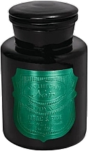 Scented Candle in a Jar - Paddywax Apothecary Noir Candle Tabac & Pine — photo N1