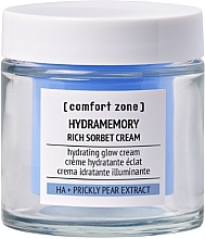 Deep Hydration and Radiance Rich Sorbet Cream - Comfort Zone Hydramemory Rich Sorbet Cream — photo N15