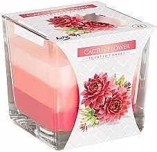 Scented Three-Layer Candle in Glass 'Cactus Flower' - Bispol Scented Candle Cactus Flower — photo N1