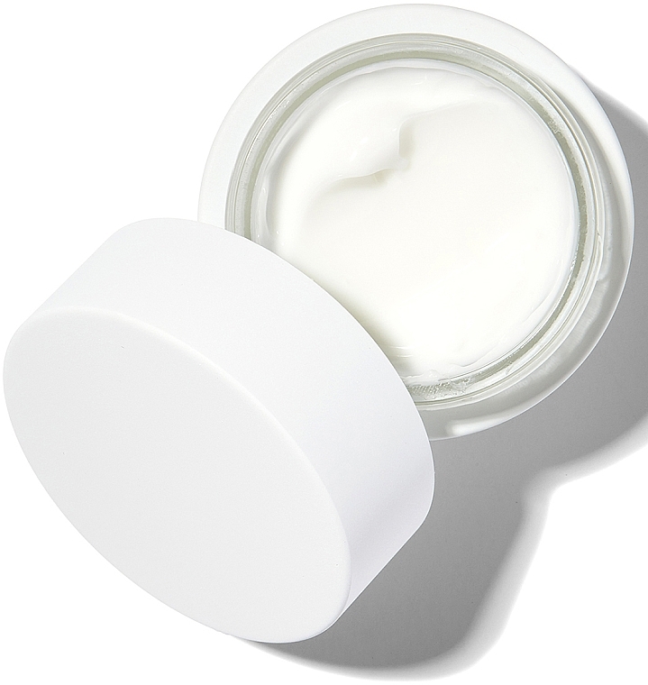 Light Moisturizing Face Cream - Dr. Barbara Sturm Face Cream Light — photo N2