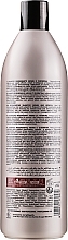 Restructuring Shampoo with Argan Oil & Keratin - RR Line Argan Star Shampoo — photo N2