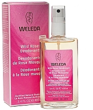 Fragrances, Perfumes, Cosmetics Body Deodorant "Rose" - Weleda Wild Rose Deodorant