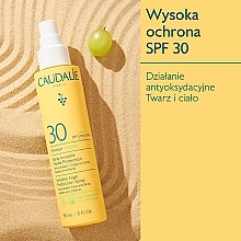 Face & Body Sun Cream - Caudalie Vinosun Protect Spray Invisible SPF30 — photo N3