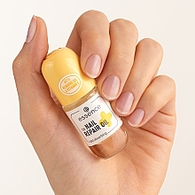 Nail Repair Oil - Essence The Nail Repair Oil With Avocado & Vitamin E — photo N4