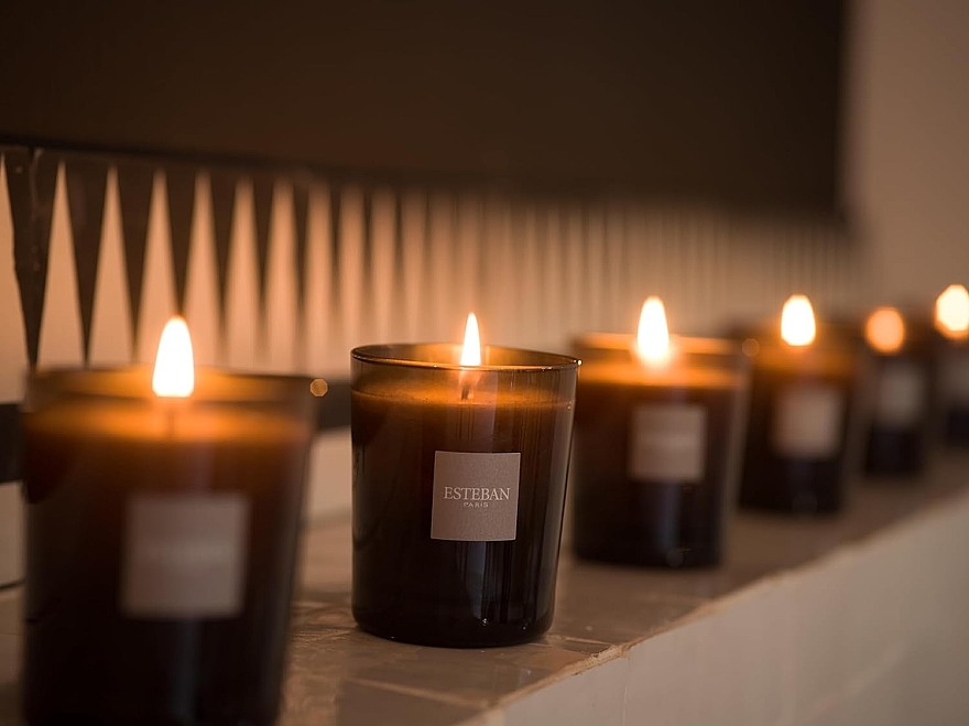 Esteban Figue Noire Refillable Scented Candle - アロマキャンドル — photo N3