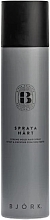 Spraya Hart Strong Hold Hair Spray - Bjork Strong Hold Hair Spray — photo N2