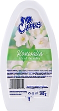 Fragrances, Perfumes, Cosmetics Lily of the Valley Gel Air Freshener - Cirrus Lily of the Valley