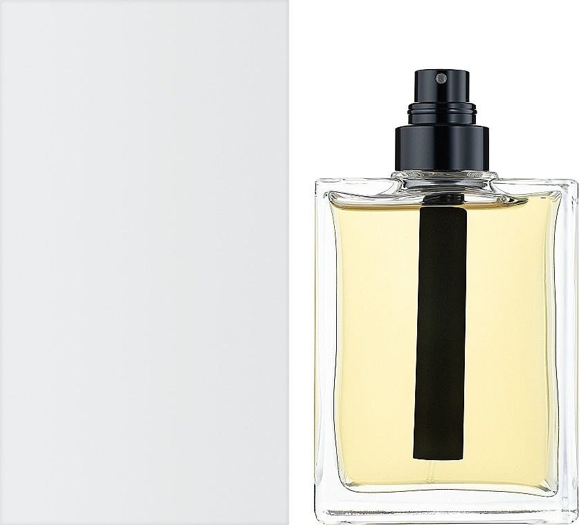 Dior Homme 2020 - Eau de Toilette (tester, no cap) — photo N2