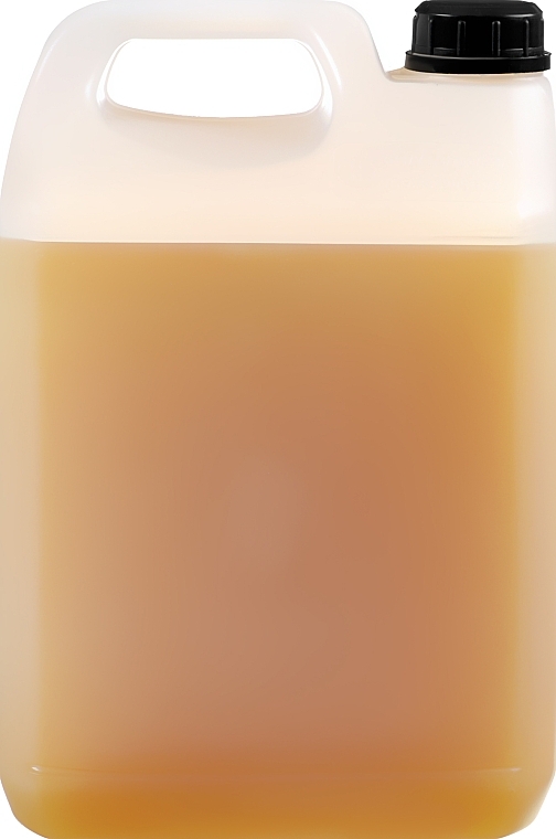 Argan & Honey Shampoo - Farmavita Back Bar No2 Nourishing Shampoo Argan And Honey — photo N5