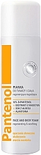 Soothing & Regenerating Face & Body Foam - Farmona Pantenol Med Soothing And Regenerating Face And Body Foam — photo N1