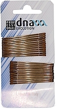 Fragrances, Perfumes, Cosmetics Bobby Pins, 50 mm, beige - DNA Evolution 43041