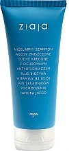 Micellar Shampoo for Damaged Skin - Ziaja Limited Micellar Shampoo For Damaged Hair Dry Curly — photo N1