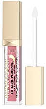 Lip Gloss Plumper - Eveline Cosmetics Wonder Show Extreme Plumping Rich Pigment Lip Gloss — photo N1