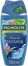 Shower Gel - Palmolive Wellness Massage Shower Gel — photo N1