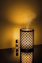 フレグランスディフューザー - Esteban Perfume Mist Diffuser Light & Black Edition	 — photo N2