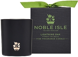 Noble Isle Lightning Oak - Scented Candle — photo N1