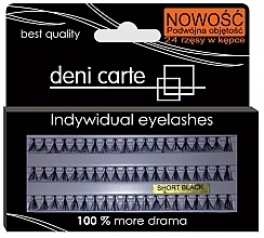 Double Volume False Lashes - Deni Carte Fake Eyelashes DS — photo N1