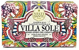 Nesti Dante Villa Sole Rosso Divino Del Chianti - Nesti Dante Villa Sole Rosso Divino Del Chianti — photo N1