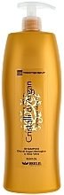 Moisturizing Argan Oil & Aloe Shampoo - Brelil Bio Traitement Cristalli d'Argan Shampoo Intensive Beauty — photo N1