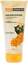 Fragrances, Perfumes, Cosmetics Nourishing Conditioner for Dry & Damaged Hair - Bielita Buckthorn & Lime