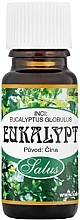 Eucalyptus Essential Oil - Saloos Essential Oils Eucalyptus Ch — photo N1