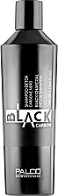 Fragrances, Perfumes, Cosmetics Cleansing Shampoo - Palco Professional Black Carbon Shampoo Detox