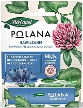 Moisturizing Lip Balm - Polana — photo N1