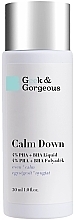 Acid Exfoliant for Sensitive Skin - Geek & Gorgeous Calm Down 4% Pha + BHA Liquid — photo N8