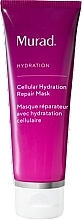 Fragrances, Perfumes, Cosmetics ナイト フェイス マスク - Murad Cellular Hydration Repair Mask