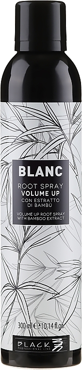 Volume Hair Spray - Black Professional Line Blanc Volume Up Root Spray — photo N1