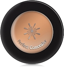 Fragrances, Perfumes, Cosmetics Camouflage Cream - Missha The Style Perfect Concealer