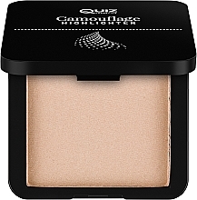 Highligher - Quiz Cosmetics Camouflage Highlighter — photo N1