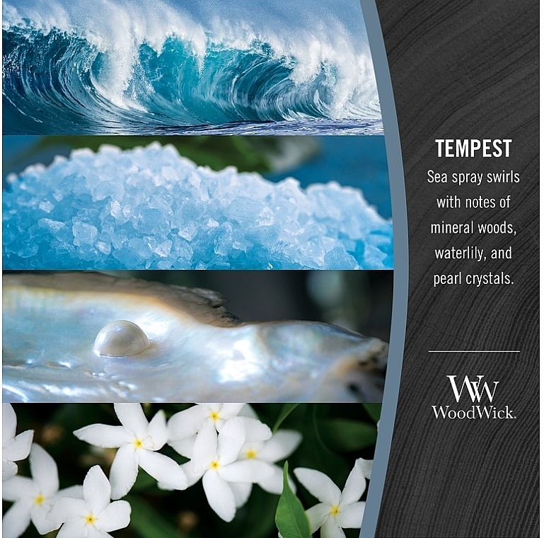 Scented Candle in Glass - Woodwick Ellipse Candle Tempest — photo N4