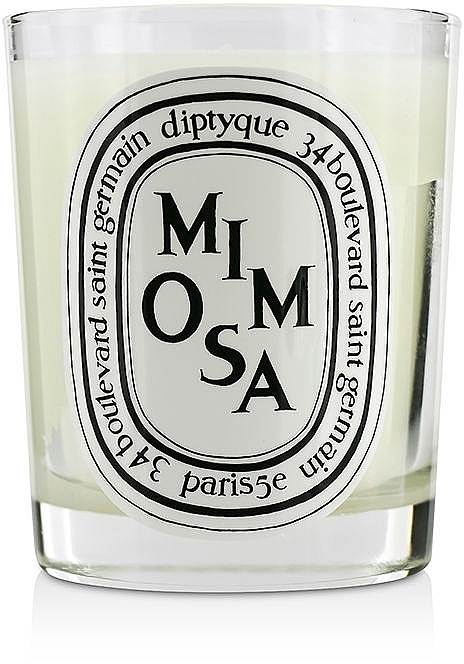 Scented Candle - Diptyque Mimosa Candle — photo N1