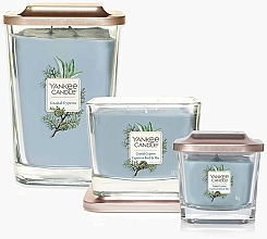 Scented Candle - Yankee Candle Elevation Coastal Cypress — photo N10