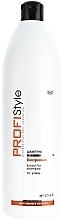 Biosulfur Shampoo for Oily Hair - Profi style — photo N5