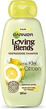 Fragrances, Perfumes, Cosmetics Clay & Lemon Shampoo - Garnier Ultra Doux Loving Blends Shampoo Soft Clay & Lemon