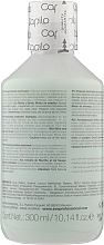 Therapeutic Shampoo for Oily Scalp & Dry Hair - Eva Professional Capilo Ekilibrium Shampoo №09 — photo N6