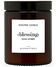 Scented Candle in Jar - Ambientair The Olphactory Dark Amber Scented Candle — photo N1