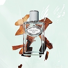 Prada Infusion D`Iris Cedre - Eau de Parfum — photo N5