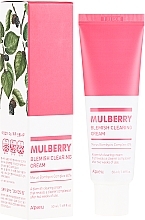 Face Cream for Problem Skin - A'pieu Mulberry Blemish Clearing Cream — photo N1