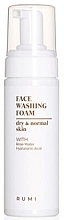 Fragrances, Perfumes, Cosmetics Dry & Normal Skin Cleansing Face Foam - Rumi Face Washing Foam Dry & Normal Skin