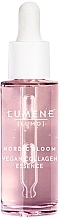 Fragrances, Perfumes, Cosmetics Ultra-Concentrated Smoothing Serum - Lumene Lumo Nordic Bloom Vegan Collagen Essence