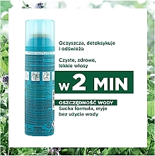 Dry Shampoo - Klorane Aquatic Mint Detox Dry Shampoo — photo N11