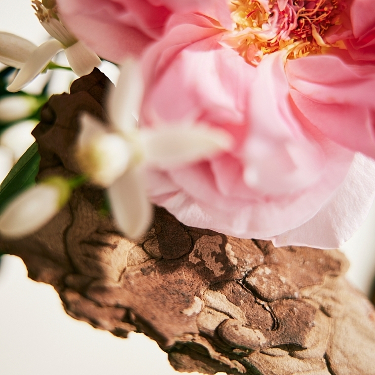 Chloé Rose Naturelle - Eau de Parfum — photo N8